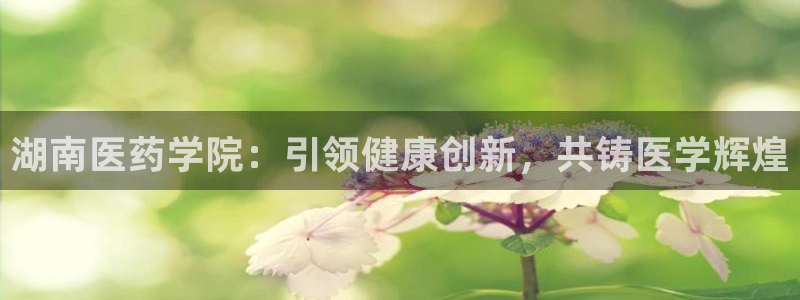 九游会ag官方网站在哪