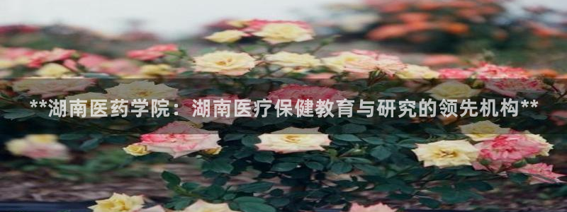 ag九游俱乐部