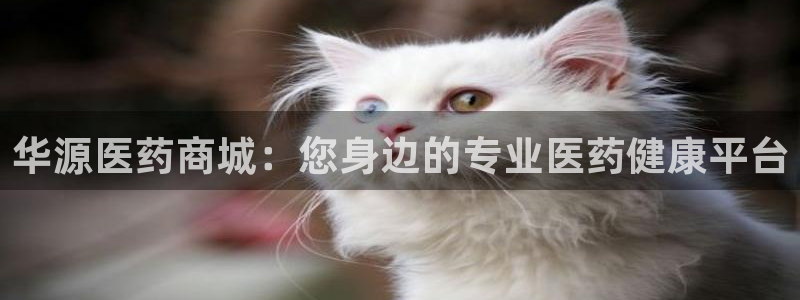 九游会登录网站吗知乎
