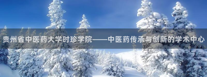 j9九游会登录入口首页新版