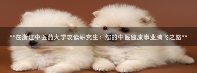 九游会平台登录不上