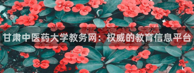 ag九游会