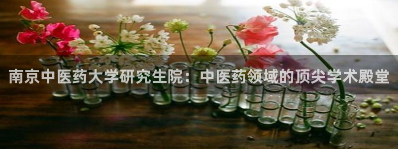 九游会官方地址