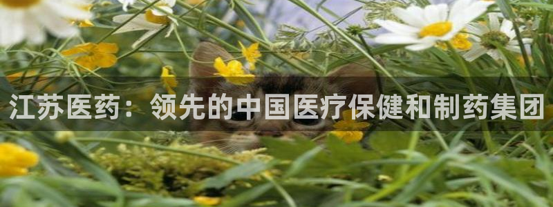 J9九游会首页