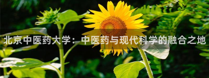 ag8九游