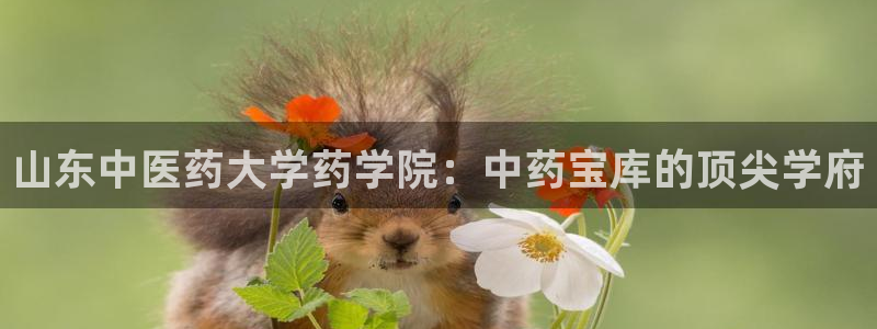 九游会老哥必备的交流社区九