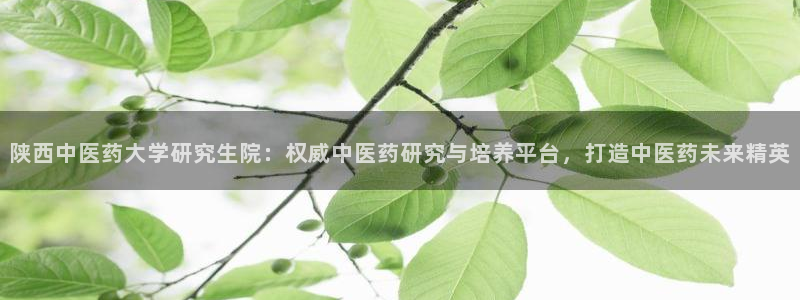 九游会app下载版官网正版安卓