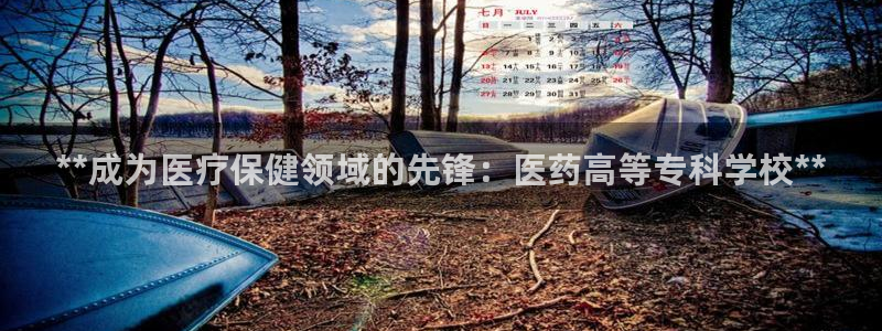 九游会网址登录不上