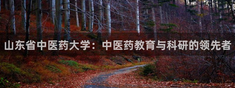 j9九游会网址是什么