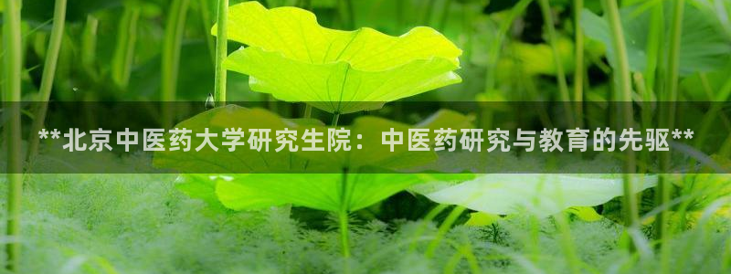 九游会老哥