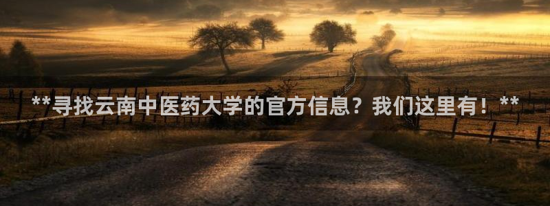 九游会.com