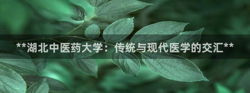 九游会官网贴吧