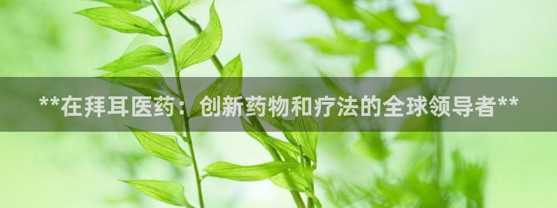9游会旗舰
