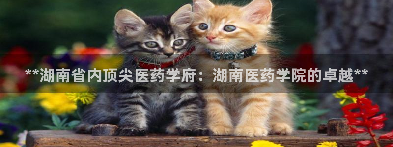 ag九游老哥俱乐部