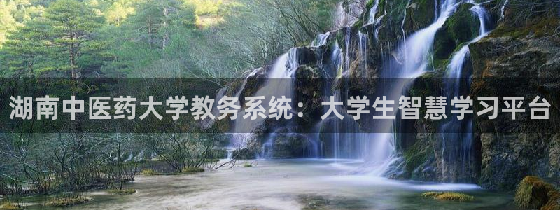 J9九游会登陆