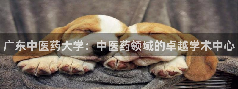 九游会登录网站