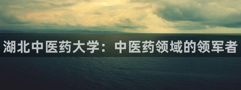 九游会官网真人认证吗安全吗