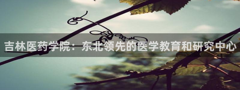 九游会AGapp下载