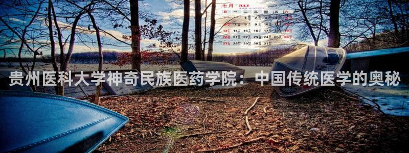九游会员中心