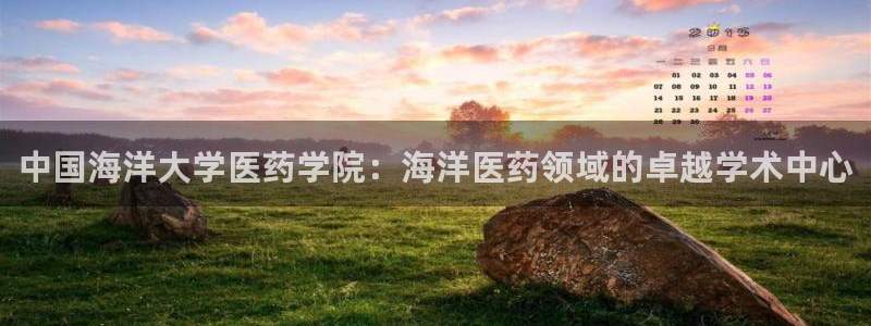 九游会登录网址多少