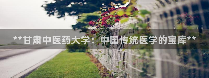 九游会ag老哥俱乐部