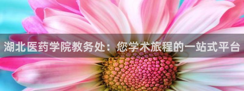 九游j9打不开