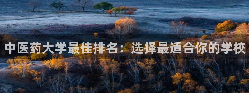 九游会在线官方下载吗