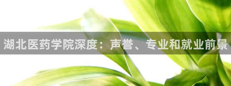 九游会首页