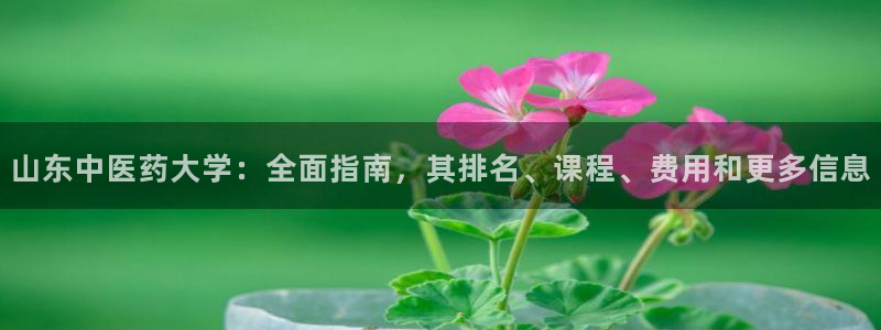 九游会官网平台