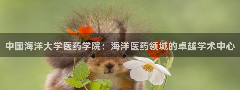 九游会官网客户端
