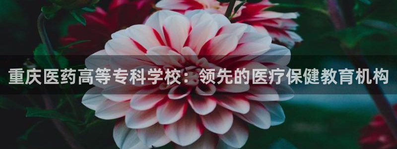 九游会ag亚洲