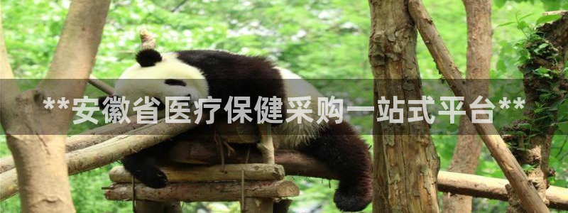 九游会亚洲登录