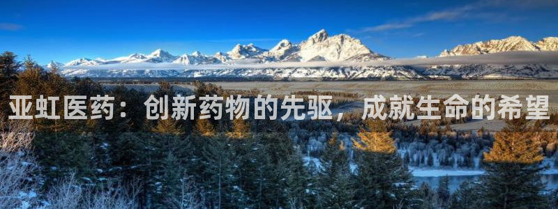 九游会是不是黑网