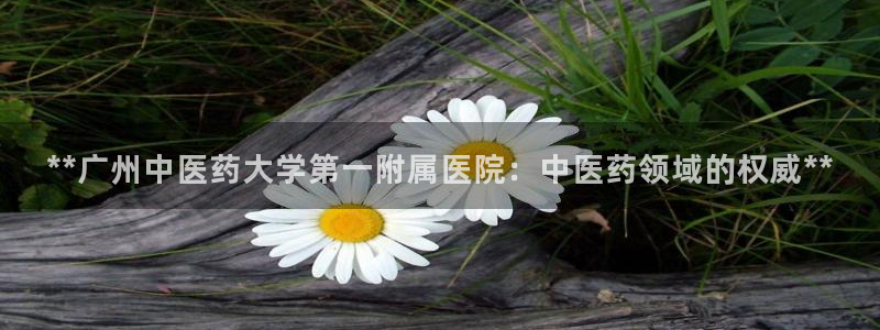 九游会网址登陆