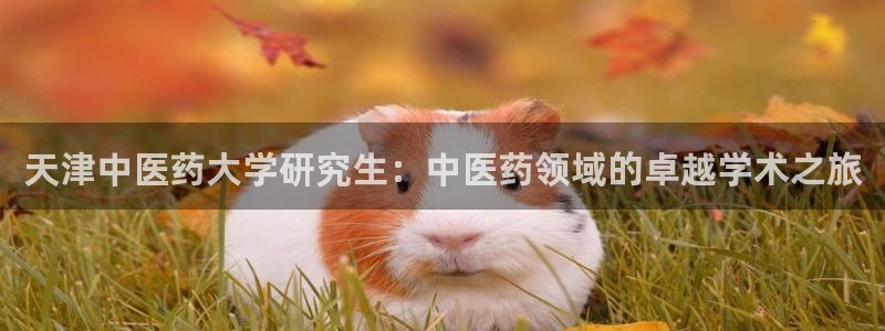 j9九游会真人手机版