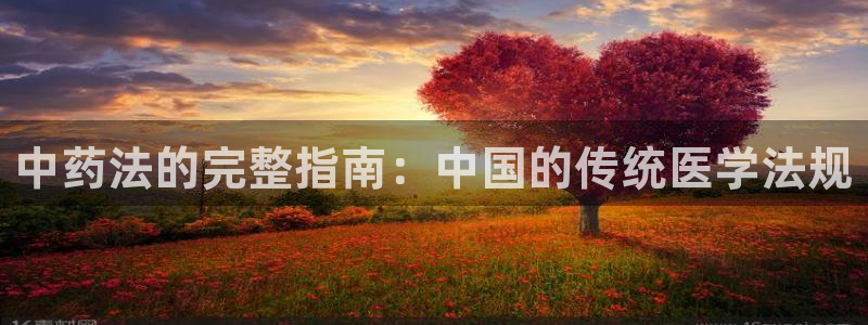 9游会app