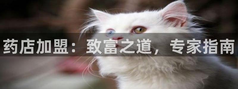 九游会游戏官网