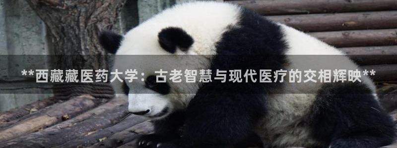 九游会首页进入