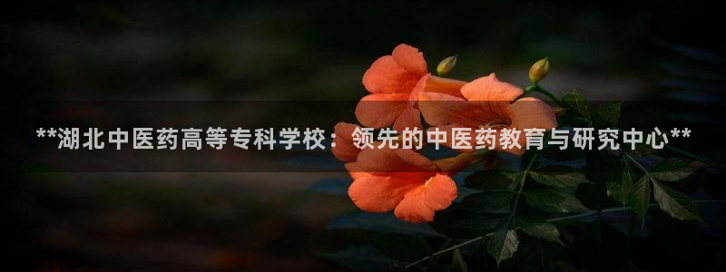 九游会j9官方网站