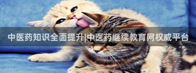 九游会ag真人官网|九游真人
