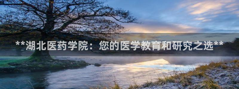 九游会手机版登录