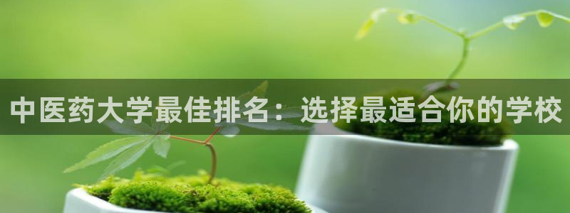 j9九游会ag私享