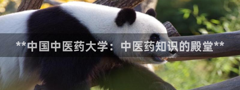 九游会j9官网入口登录新版