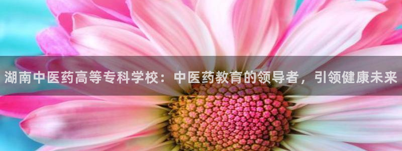 j9九游会会员日