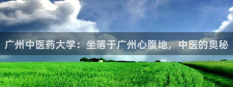九游会个人中心登录页面