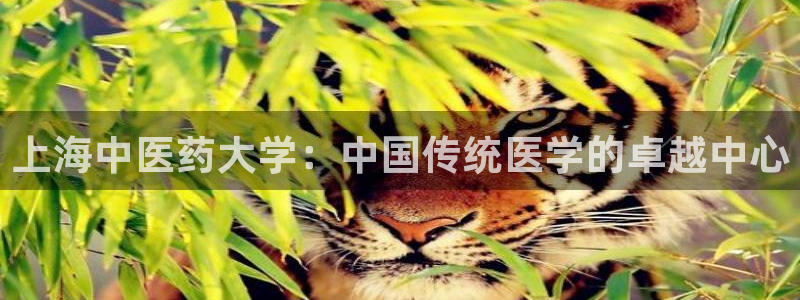 九游会平台网址