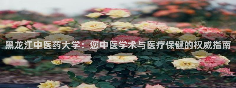 九游会ag老哥俱乐部入口