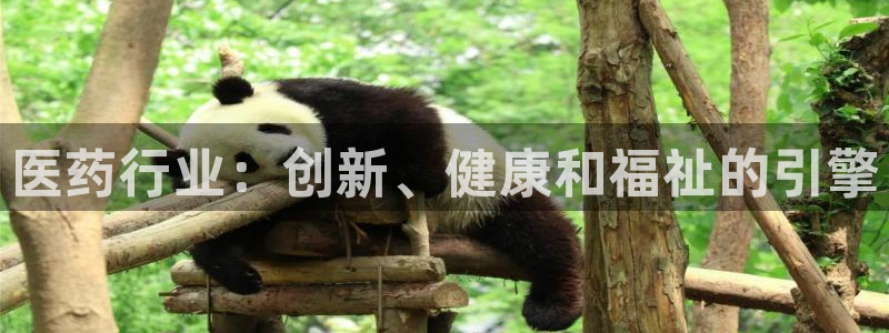 九游会账号登录网址