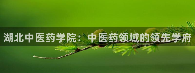 j9九游会网址是什么