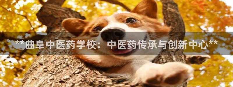 九游j9国际站官方网站